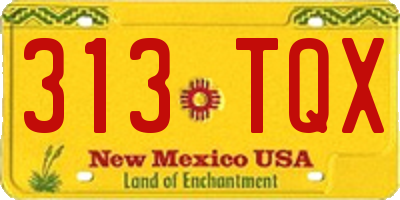 NM license plate 313TQX