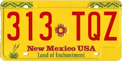 NM license plate 313TQZ