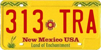 NM license plate 313TRA