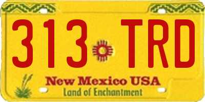 NM license plate 313TRD
