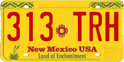 NM license plate 313TRH