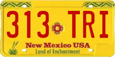 NM license plate 313TRI