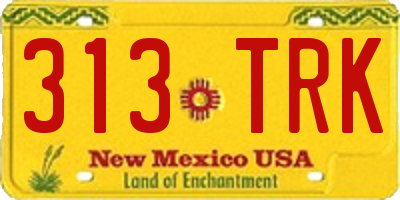NM license plate 313TRK