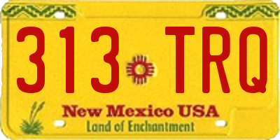NM license plate 313TRQ
