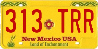 NM license plate 313TRR