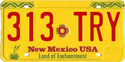 NM license plate 313TRY