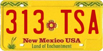 NM license plate 313TSA