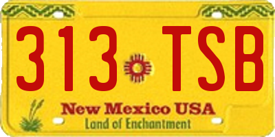 NM license plate 313TSB