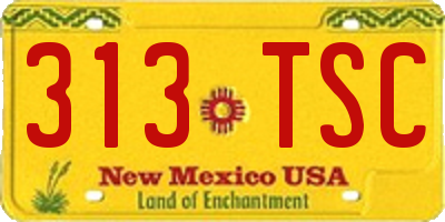 NM license plate 313TSC