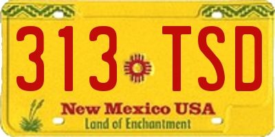 NM license plate 313TSD