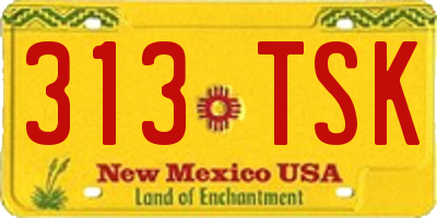 NM license plate 313TSK