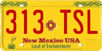NM license plate 313TSL