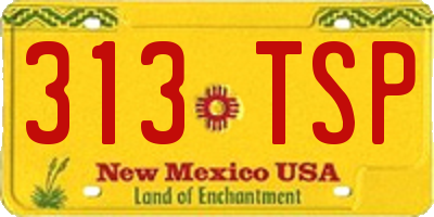 NM license plate 313TSP