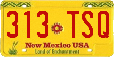 NM license plate 313TSQ