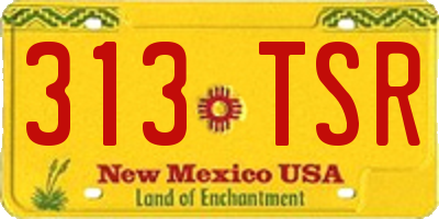 NM license plate 313TSR