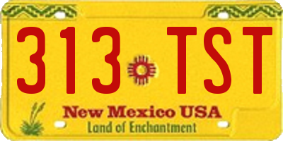 NM license plate 313TST