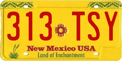 NM license plate 313TSY