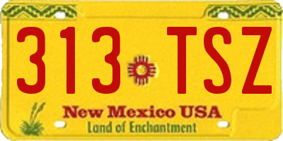 NM license plate 313TSZ