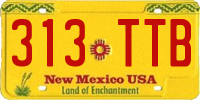 NM license plate 313TTB