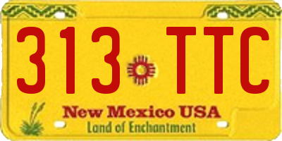 NM license plate 313TTC