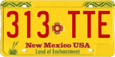 NM license plate 313TTE