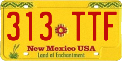 NM license plate 313TTF