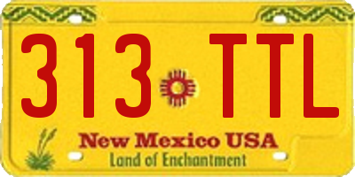 NM license plate 313TTL
