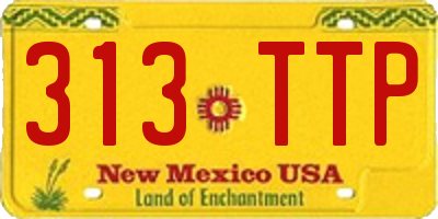 NM license plate 313TTP