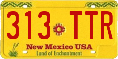 NM license plate 313TTR