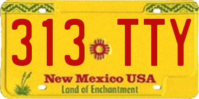 NM license plate 313TTY