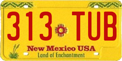 NM license plate 313TUB