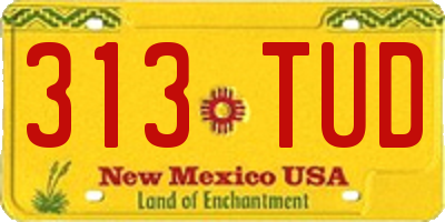 NM license plate 313TUD