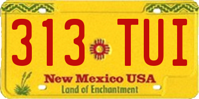 NM license plate 313TUI