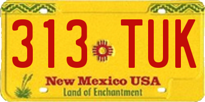 NM license plate 313TUK
