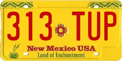 NM license plate 313TUP