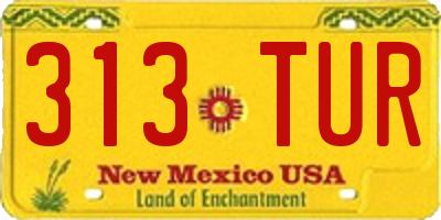 NM license plate 313TUR