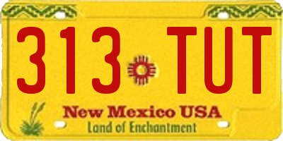 NM license plate 313TUT