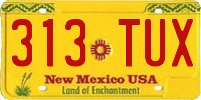 NM license plate 313TUX
