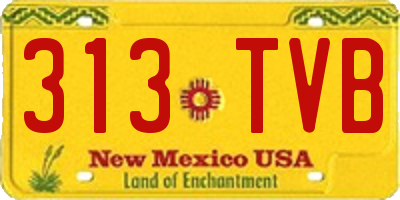 NM license plate 313TVB