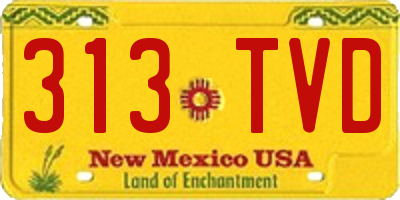 NM license plate 313TVD