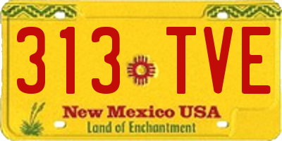 NM license plate 313TVE
