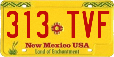 NM license plate 313TVF
