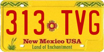 NM license plate 313TVG