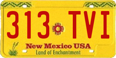 NM license plate 313TVI
