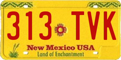 NM license plate 313TVK