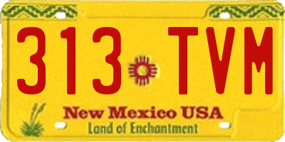 NM license plate 313TVM