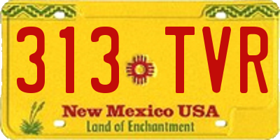 NM license plate 313TVR