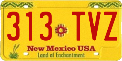 NM license plate 313TVZ