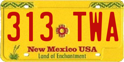 NM license plate 313TWA