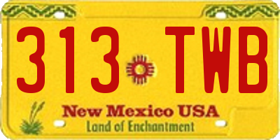 NM license plate 313TWB